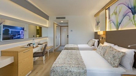 Economy Room