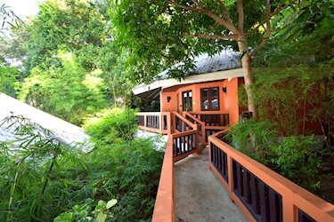 Tropical Hillside Villa