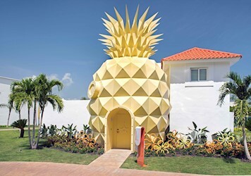 The Pineapple