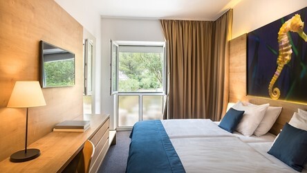 Standard twin room