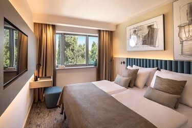 Standard double room