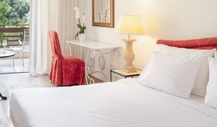Double Room for Single Use with Garden View