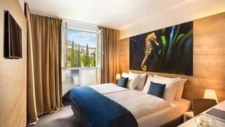 Comfort double/twin room with street view
