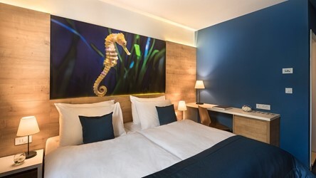 Comfort double/twin room with street view
