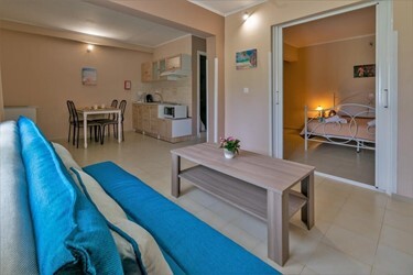 Apartment 1 Bedroom