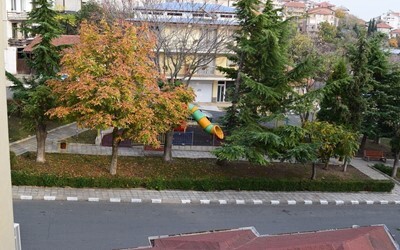 FM Family Room