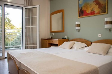 Double Room Park View