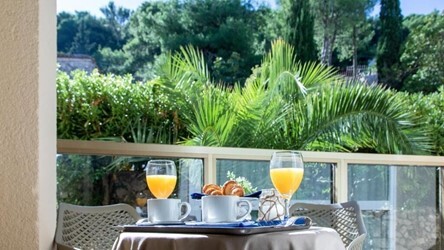 Double Balcony Park Side