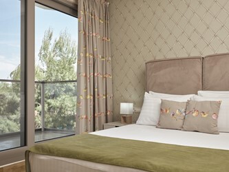 Luxury Room