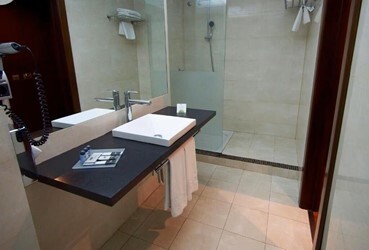 Superior Room Fountain View