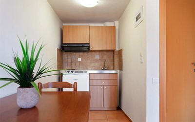 Studio Standard Garden View