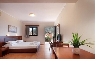 Studio Standard Garden View