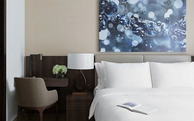 Deluxe One Bedroom Suite