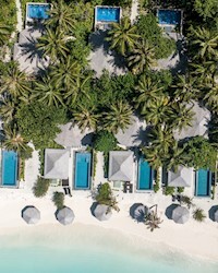 Beach Suite with Pool