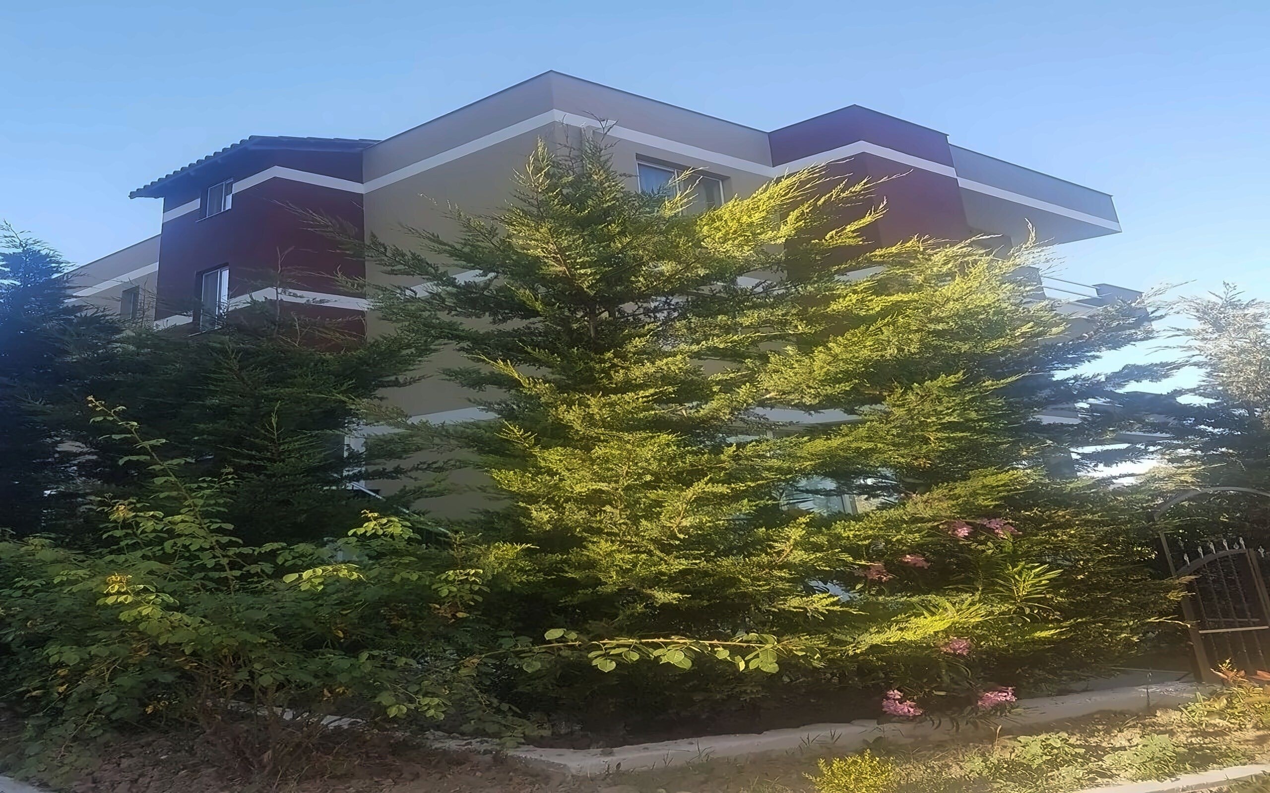 Obraz Mali I Robit Vila 3*