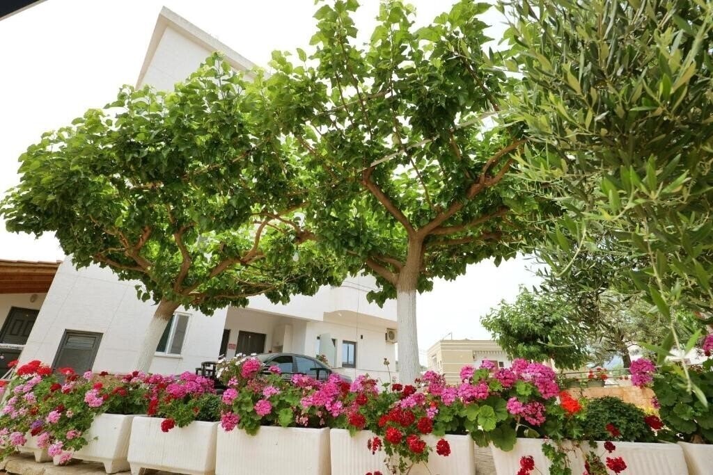 Zdjęcia Gerard Guest House 3*
