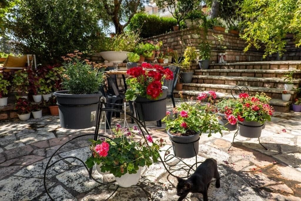 Фото Green Garden Villa 3*