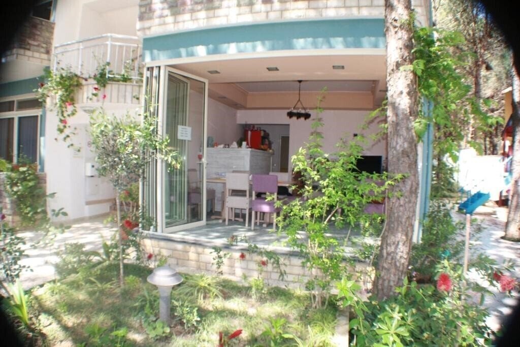 Изображение Princi I Vogel 3*