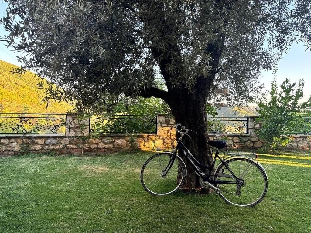 Obraz Chateau Fasel 3*