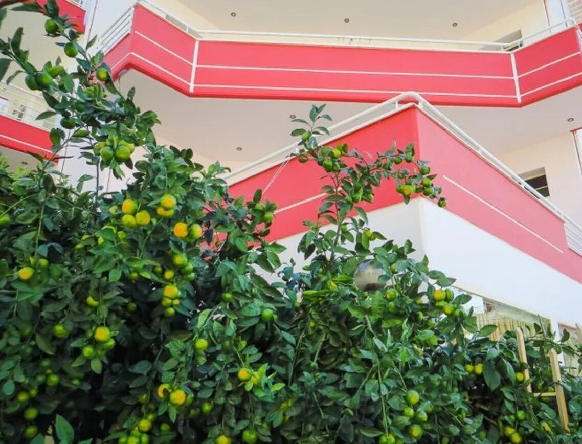 Zdjęcie Hotel Leon's (ex. Hotel Leon, Hotel Leons) 3*