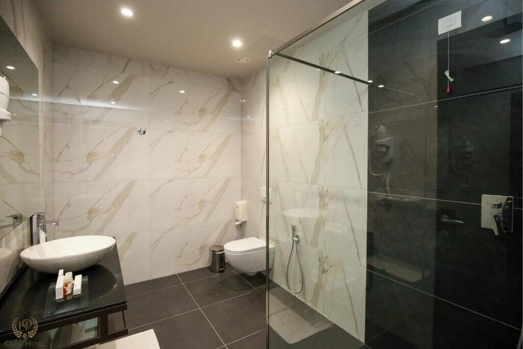 Zdjęcie Hotel Olive 3*