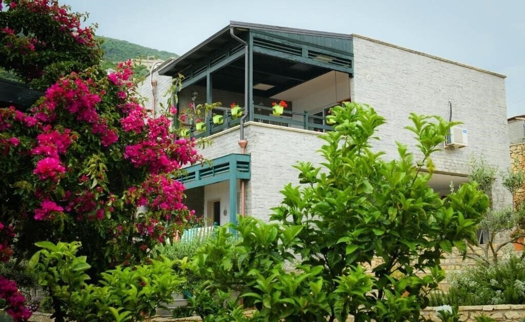 Zdjęcie Dorina App 3*