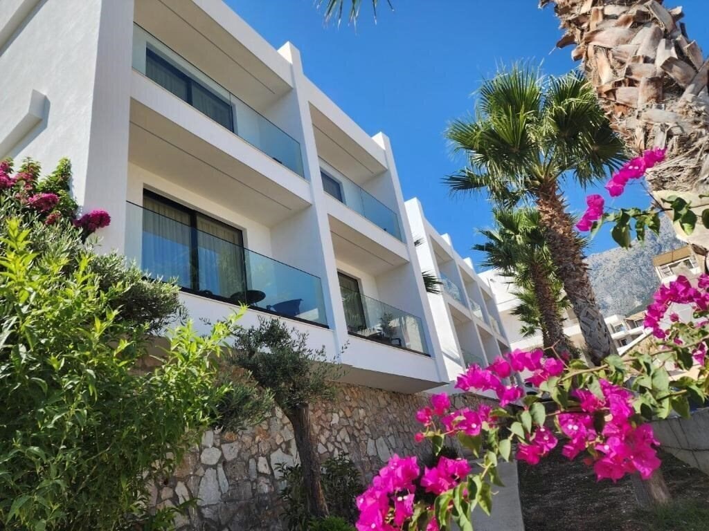 Zdjęcia Summer Dream 3*