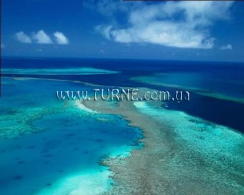 Hotel Palm Bungalows 3*