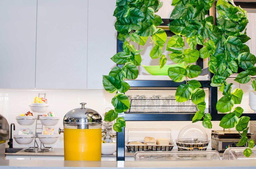 Obraz Ibis Budget Sydney East 2*