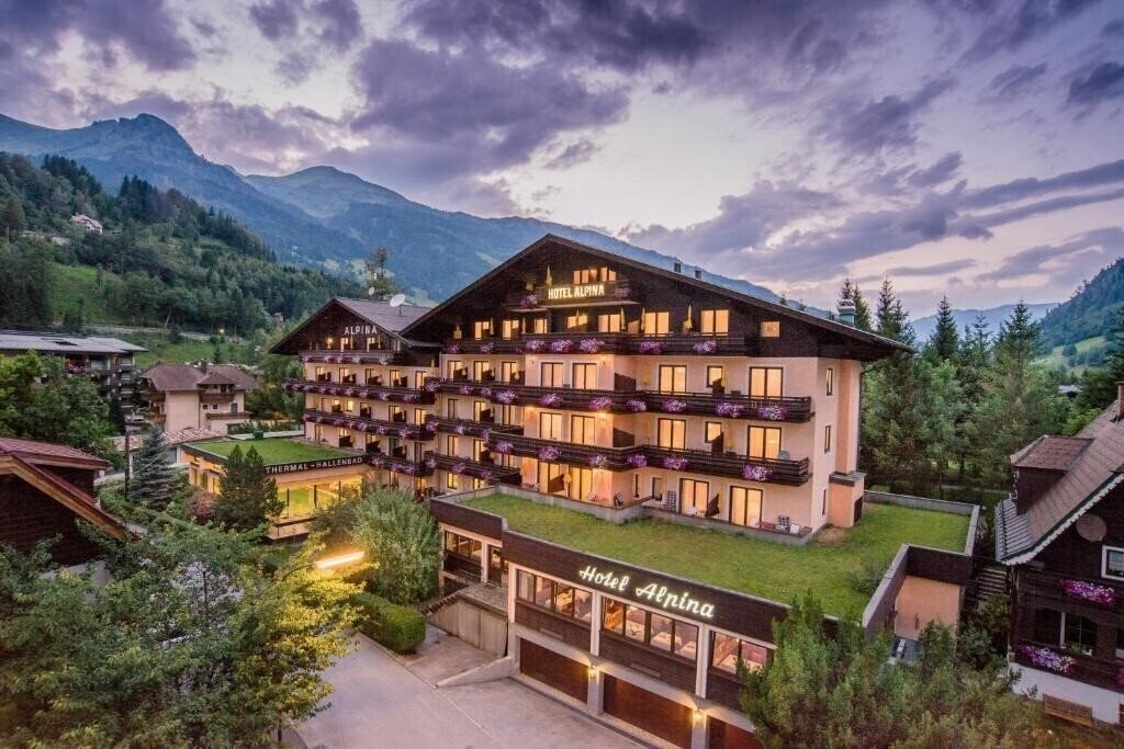 Hotel Alpina 4*