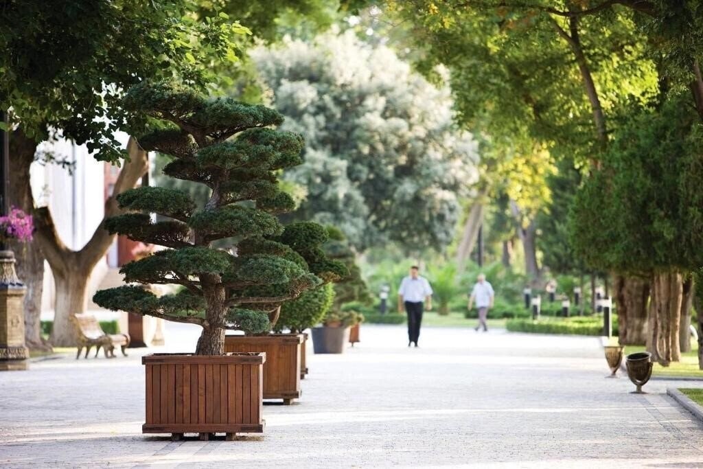 Zdjęcie Central Baku 4*