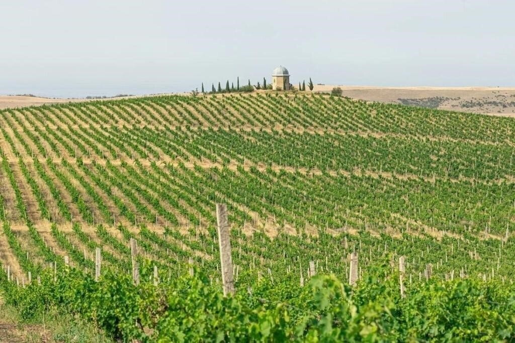 Картинка Chabiant Winery Hotel 3*