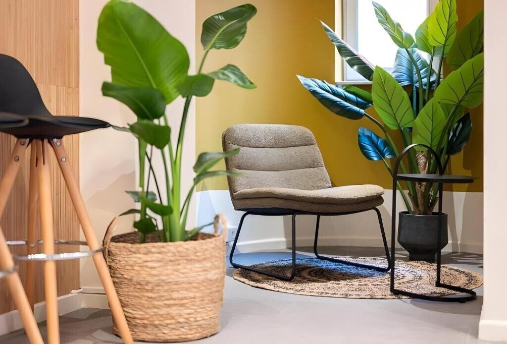 Zdjęcie Alma Grand Place Hotel 3*