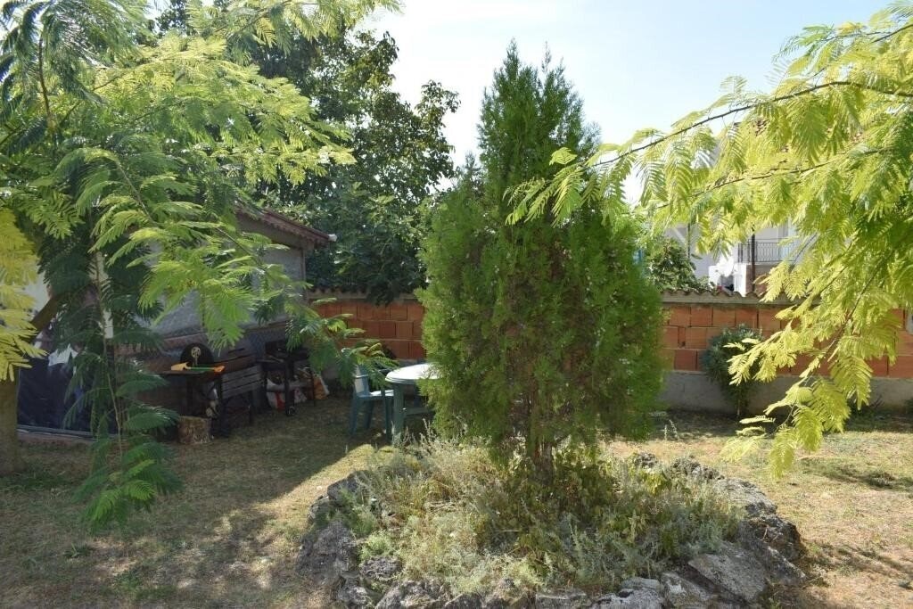 Zdjęcie Sunny-Viki 2*