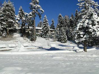 Отель Hotel Festa Winter Palace 5*