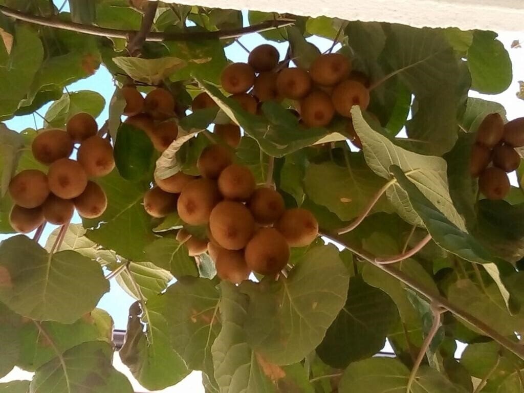 Фотографія Andreev 2*