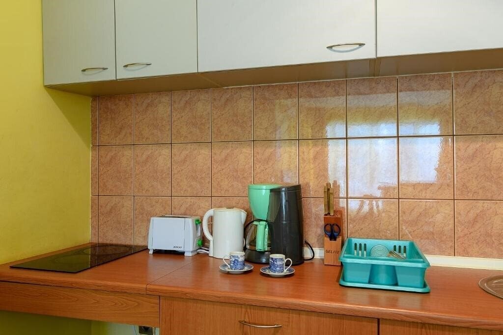 Zdjęcie Evridika Apart Apts апартаменты