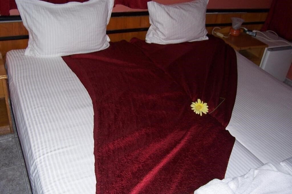 Zdjęcia Nelly-Pandora 2*