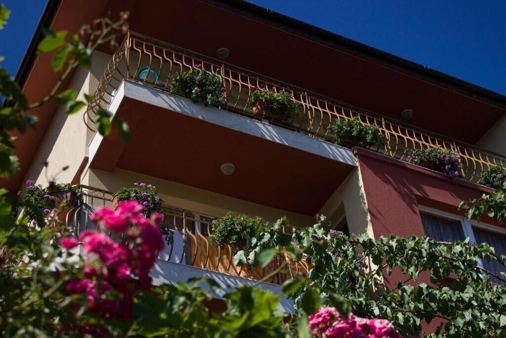 Zdjęcie Villa Violeta 7 3*