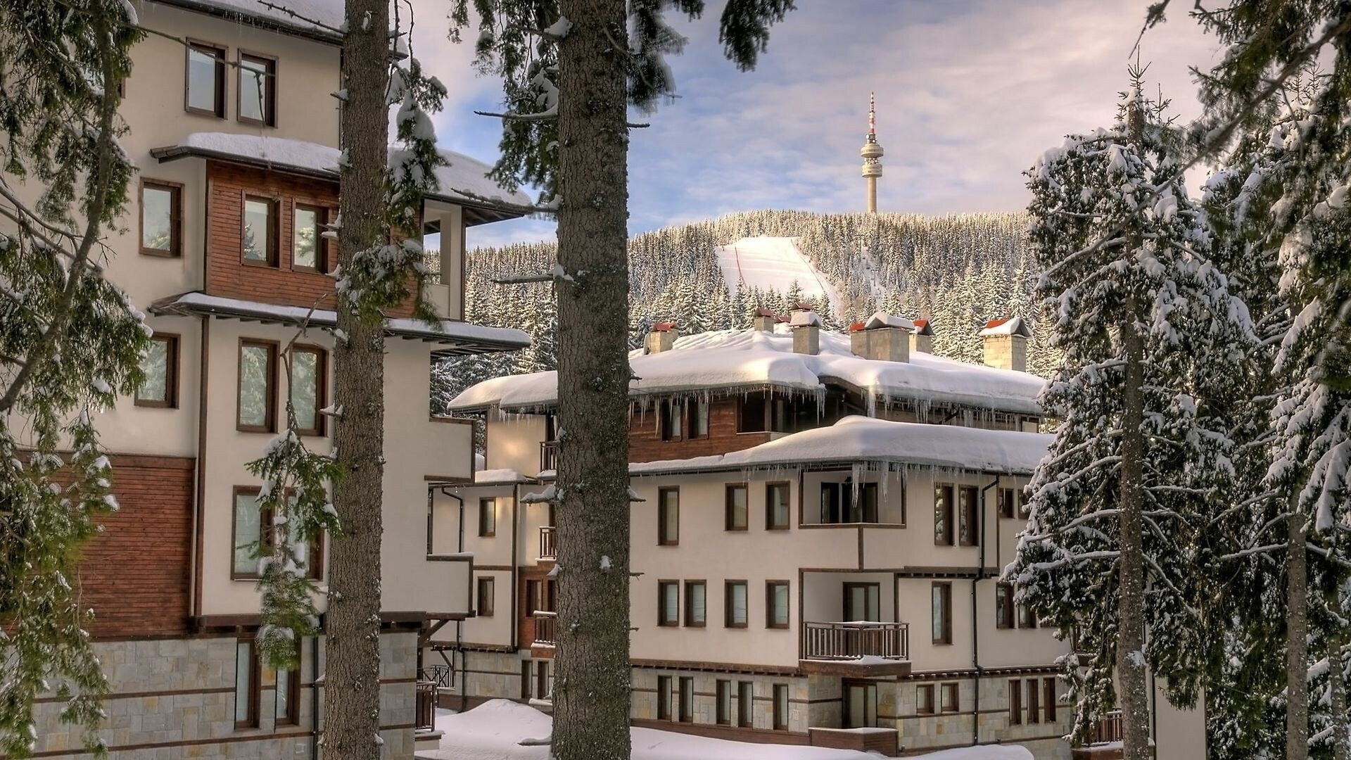 Zdjęcia Evridika 3*