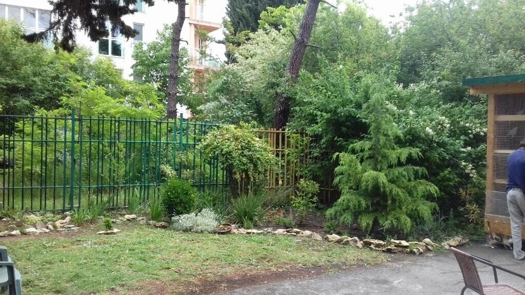 Фото Family Hotel Saga 3*