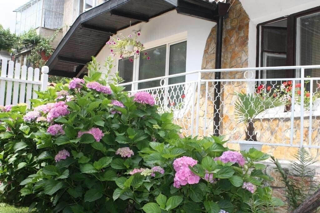 Hotel Andro Apartments 2*