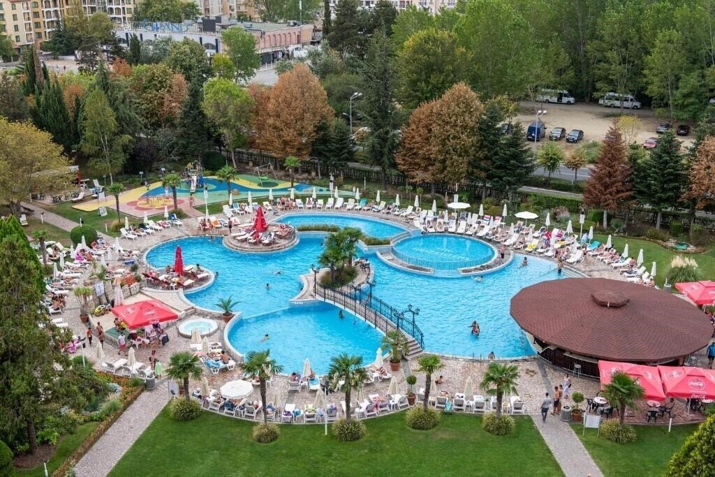 Изображение Hrizantema 4*