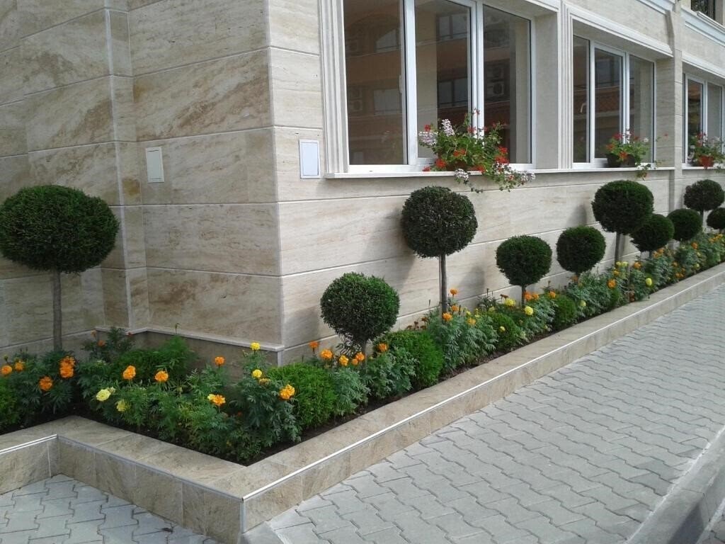 Zdjęcie Aparthotel Seasons 3*