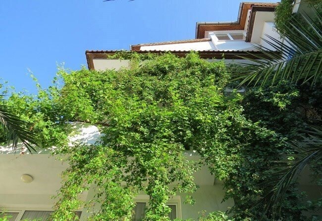 Zdjęcie Sofi Family Hotel 3*