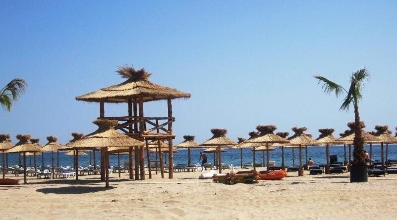 Zdjęcie Amfora First Line 4*