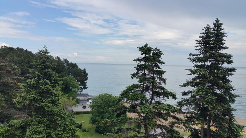 Картинка Berlin Green Park (ex. Lti B Green Park) 4*