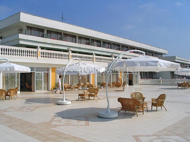 Obraz Dahlia Garden 3*