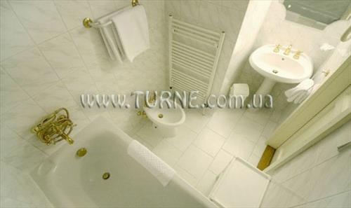 Obraz Cerveny Lev 4*