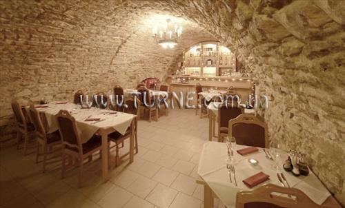 Zdjęcie Cerveny Lev 4*